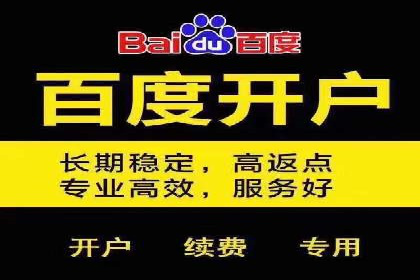 案例分享：百度竞价排名助力企业抢占市场份额